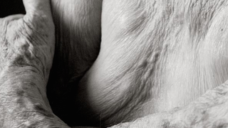 What the human body looks like at 100 years old